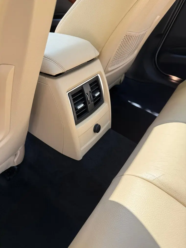 BMW 330i rear floor after pet hair removal in Sterling Heights, MI
