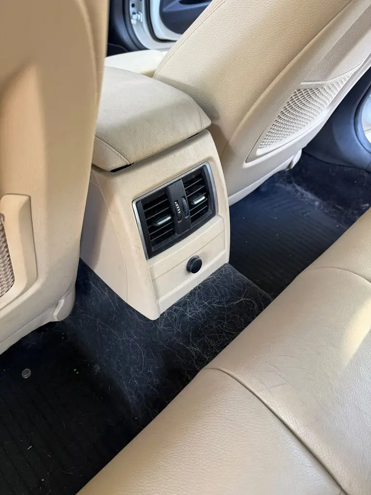 BMW 330i rear floor covered in pet hair before a detail in Sterling Heights, MI