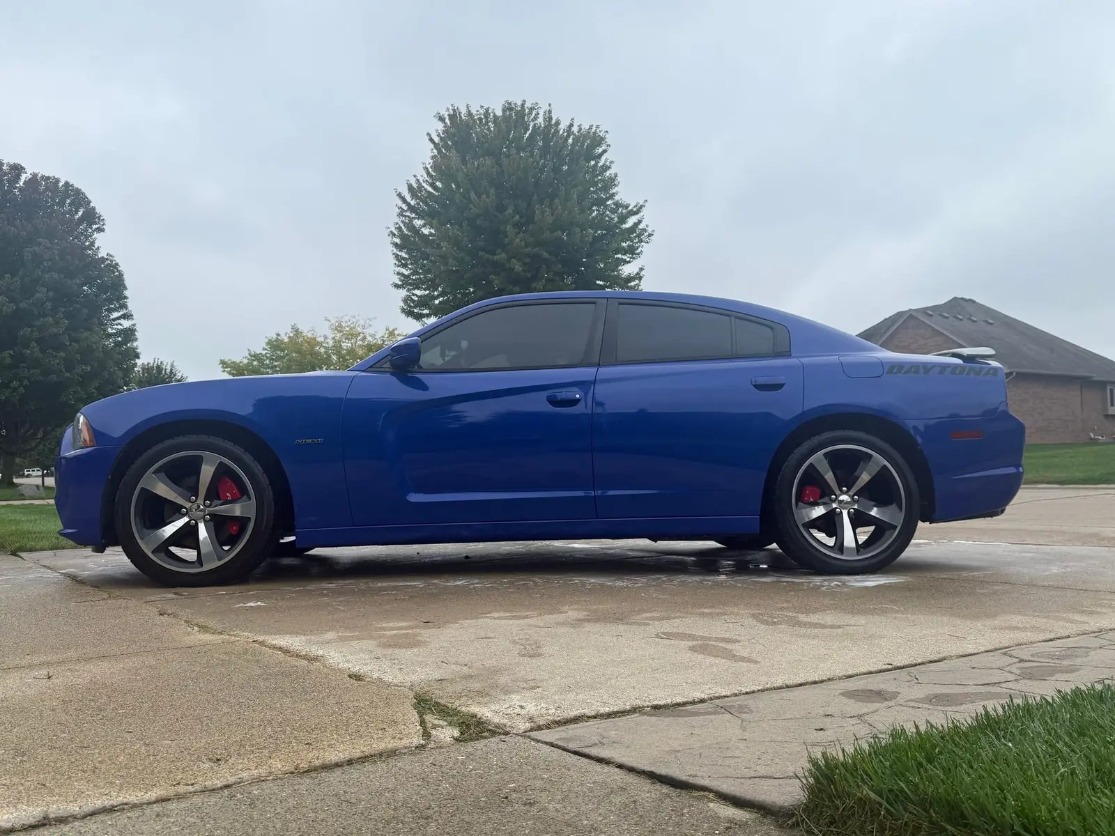 Glossy blue Dodge Charger Daytona side profile after a detail by A&F Auto Detailing